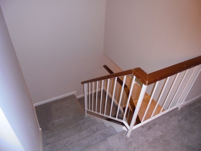 10 Silver Tree Cir, Cary, IL 60013 photo 12