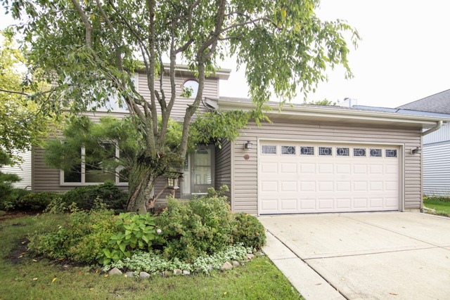 721 Garth Rd, Wheeling, IL 60090 photo 1