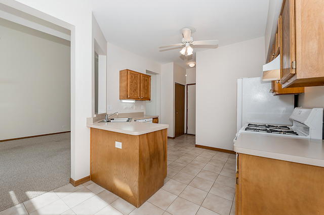 1563 Spaulding Rd, Bartlett, IL 60103 photo 6
