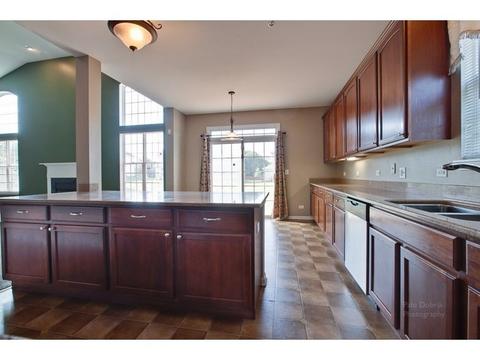 5835 River Birch Dr, Hoffman Estates, IL 60192 photo 22