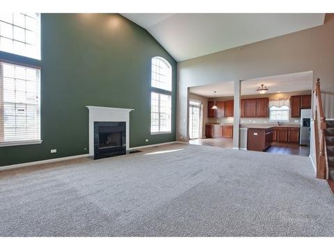 5835 River Birch Dr, Hoffman Estates, IL 60192 photo 17