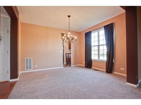 5835 River Birch Dr, Hoffman Estates, IL 60192 photo 13