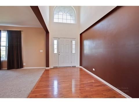 5835 River Birch Dr, Hoffman Estates, IL 60192 photo 9