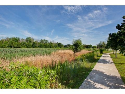 5835 River Birch Dr, Hoffman Estates, IL 60192 photo 4