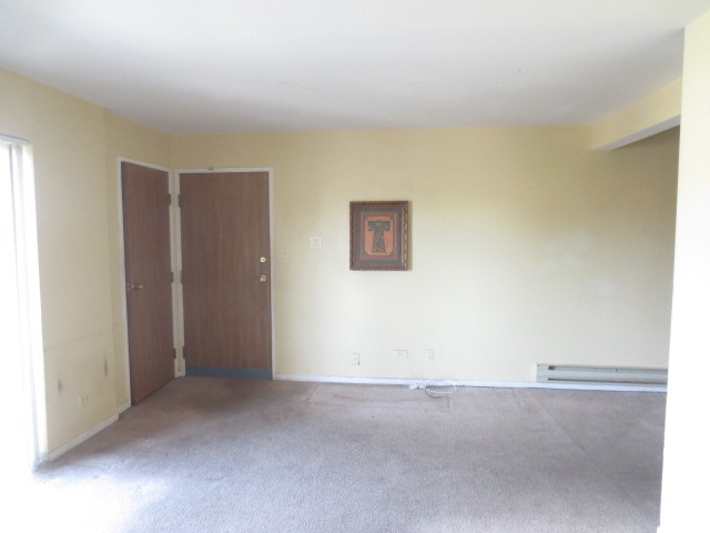 1324 N Geneva Dr #2B, Palatine, IL 60074 photo 4