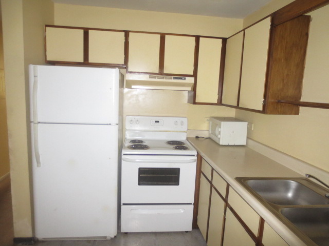 1324 N Geneva Dr #2B, Palatine, IL 60074 photo 6