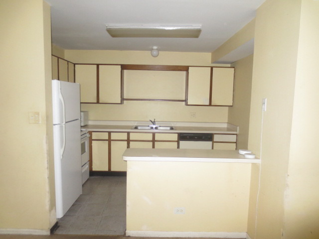 1324 N Geneva Dr #2B, Palatine, IL 60074 photo 5
