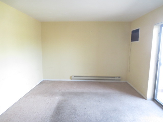1324 N Geneva Dr #2B, Palatine, IL 60074 photo 3