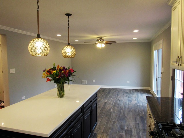 3616 Ruby St, Franklin Park, IL 60131 photo 18
