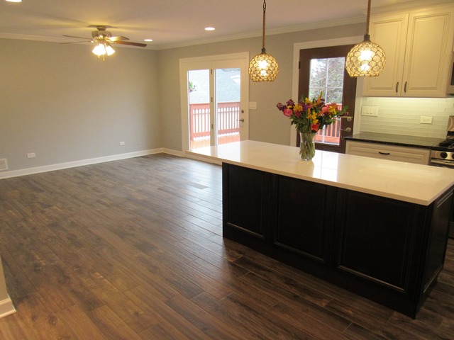 3616 Ruby St, Franklin Park, IL 60131 photo 5