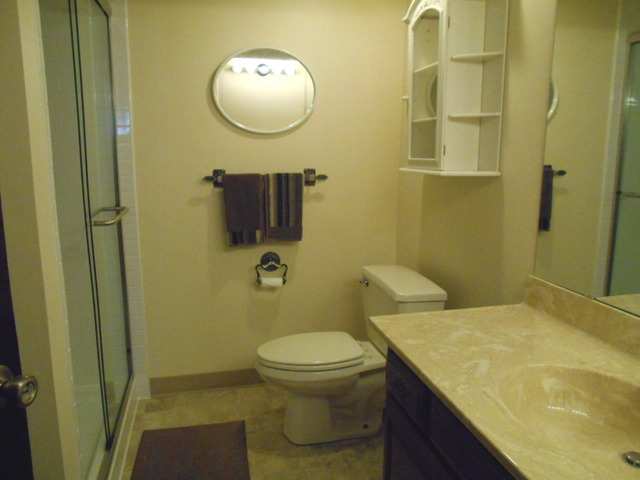 690 Morray Ct, Des Plaines, IL 60018 photo 11