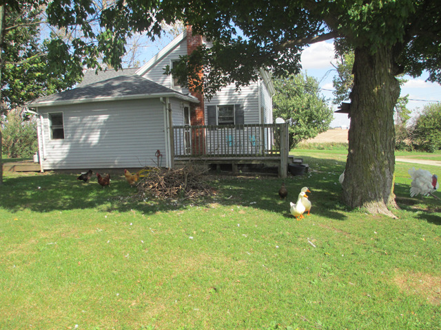 2321 Maytown Rd, Sublette, IL 61367 photo 1