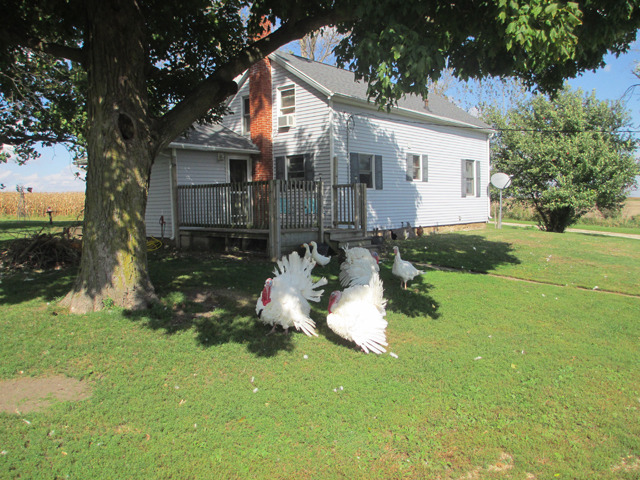 2321 Maytown Rd, Sublette, IL 61367 photo 4