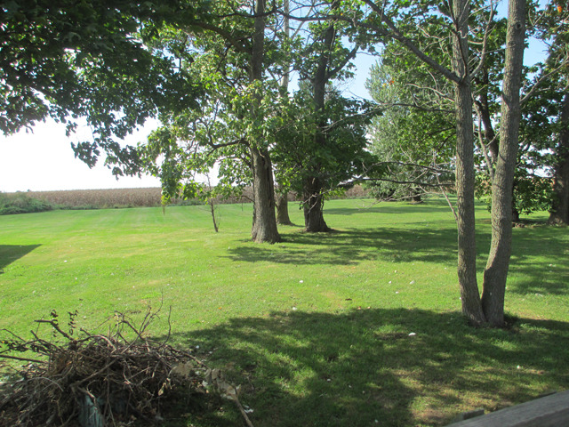 2321 Maytown Rd, Sublette, IL 61367 photo 19