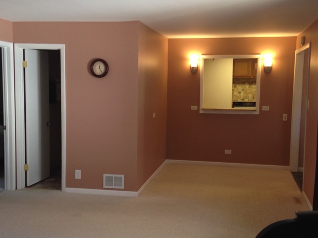 6940 Olympic Dr, Bridgeview, IL 60455 photo 18