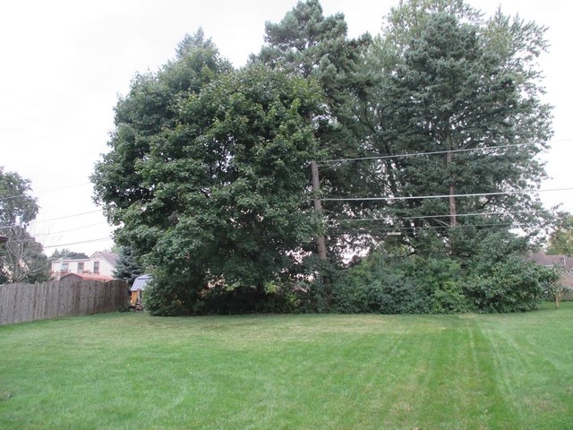 448 Hubbard Ave, Elgin, IL 60123 photo 16
