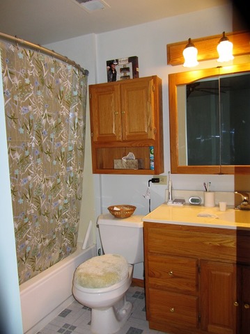 3314 Phillips Ave, Steger, IL 60475 photo 9