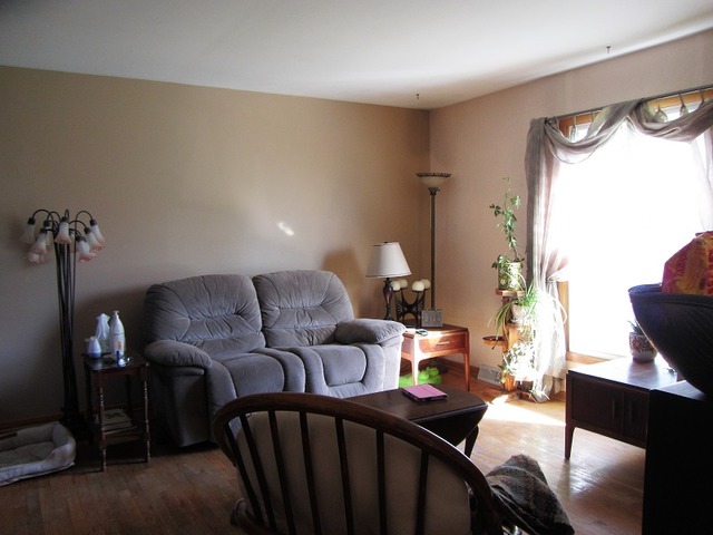 3314 Phillips Ave, Steger, IL 60475 photo 3