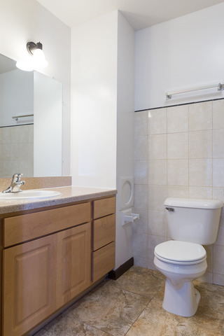 3120 Edmund M Burke Rd, Olympia Fields, IL 60461 photo 13