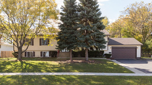 3120 Edmund M Burke Rd, Olympia Fields, IL 60461 photo 1