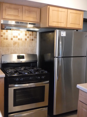 3120 Edmund M Burke Rd, Olympia Fields, IL 60461 photo 8