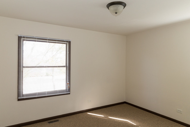 3120 Edmund M Burke Rd, Olympia Fields, IL 60461 photo 12