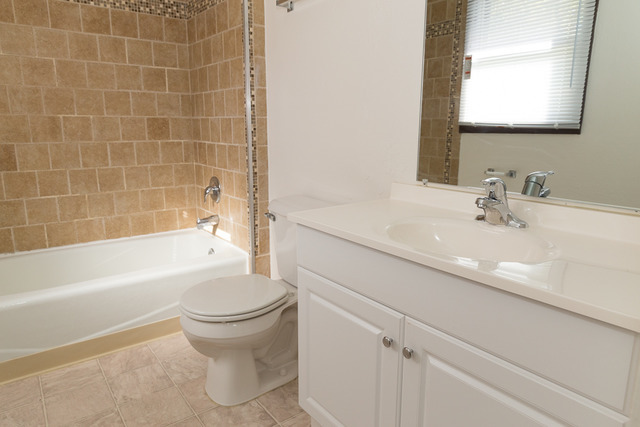 3120 Edmund M Burke Rd, Olympia Fields, IL 60461 photo 11