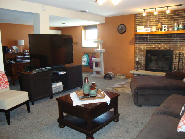 23734 E Jonathan Ln, Crete, IL 60417 photo 7