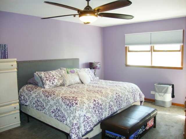 23734 E Jonathan Ln, Crete, IL 60417 photo 8
