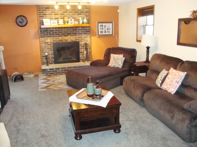 23734 E Jonathan Ln, Crete, IL 60417 photo 6
