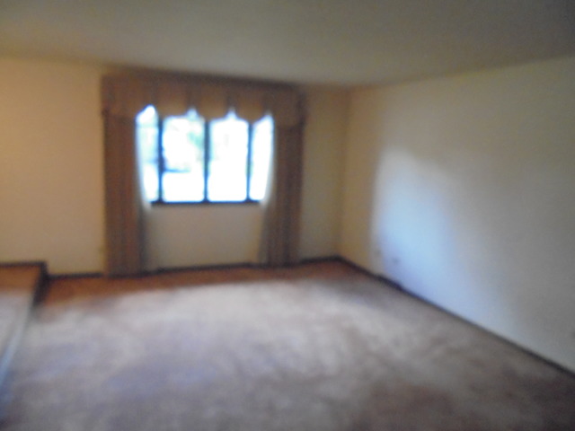 7716 W 82nd St, Bridgeview, IL 60455 photo 8
