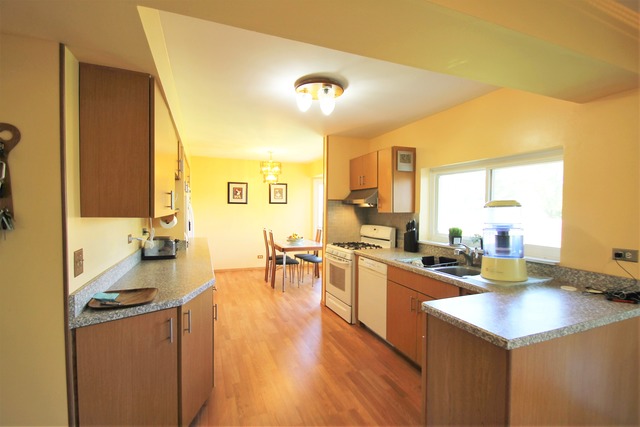 580 W Paddock Dr, Wheeling, IL 60090 photo 6