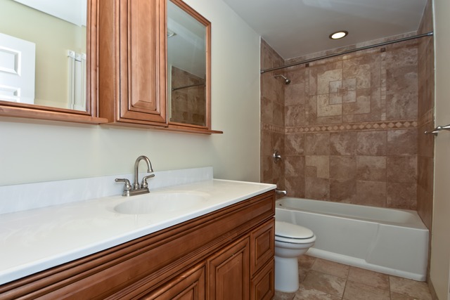 14637 Avers Ave, Midlothian, IL 60445 photo 7