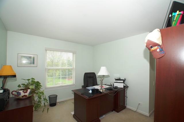 517 Rose Ln, Bartlett, IL 60103 photo 17