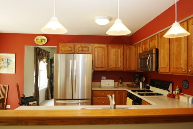 517 Rose Ln, Bartlett, IL 60103 photo 8