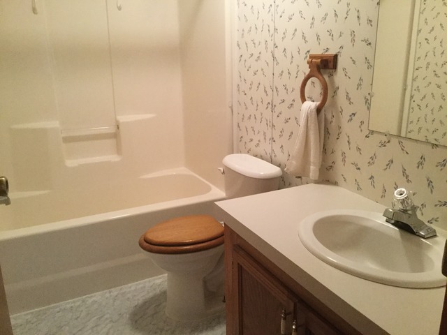 106 W Cottage St, Sheldon, IL 60966 photo 20