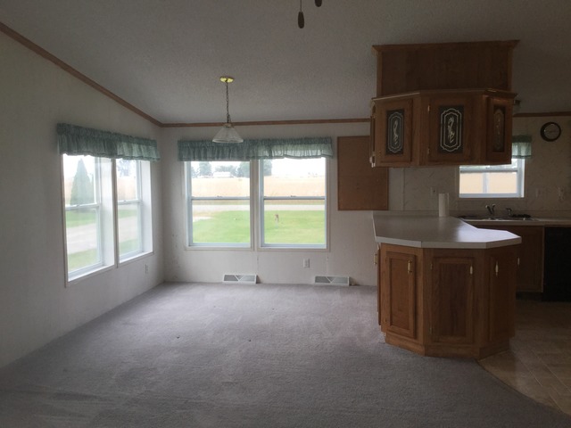 106 W Cottage St, Sheldon, IL 60966 photo 8