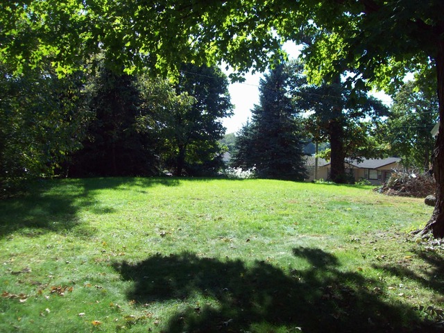 209 S 2nd St, Walnut, IL 61376 photo 4