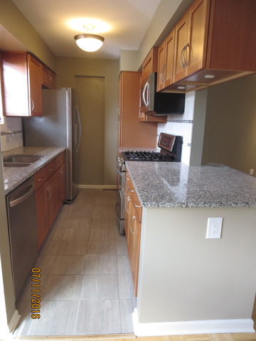 9010 Abbey Ln, Des Plaines, IL 60016 photo 5