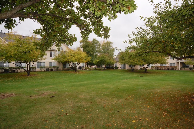 375 Aberdeen Ct #1, Bartlett, IL 60103 photo 15