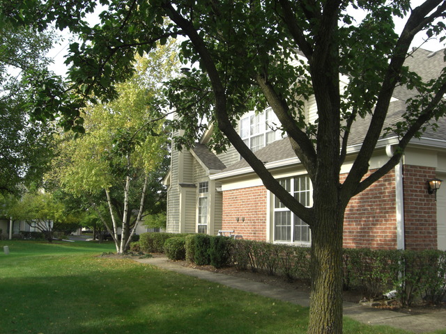375 Aberdeen Ct #1, Bartlett, IL 60103 photo 1