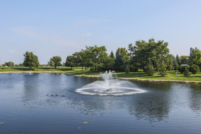 23801 Pond View Dr, Plainfield, IL 60585 photo 23