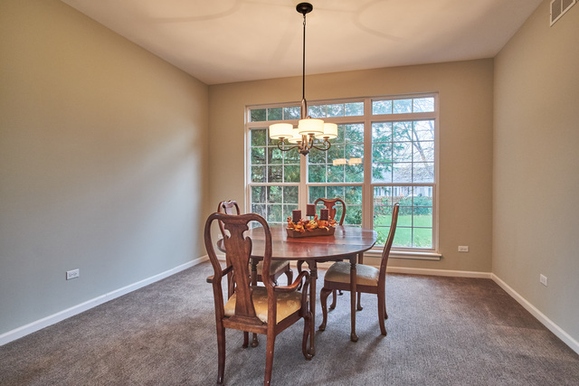 23801 Pond View Dr, Plainfield, IL 60585 photo 6