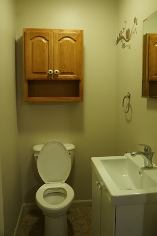  312 E 2nd St, Dixon, IL 61021 photo 8
