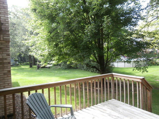4916 145th St, Midlothian, IL 60445 photo 10