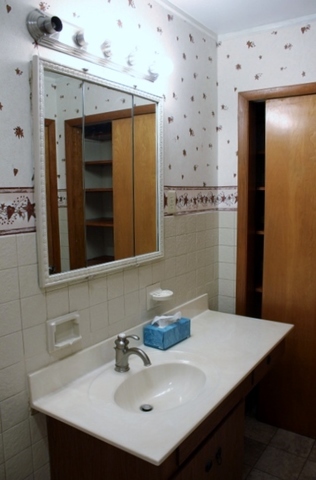 612 E Mann St, Gilman, IL 60938 photo 17
