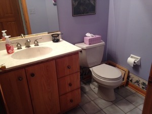 660 Kenmare Ct, Des Plaines, IL 60016 photo 6