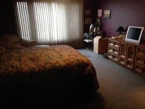 660 Kenmare Ct, Des Plaines, IL 60016 photo 9