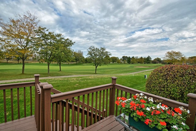 21336 W Douglas Ln #-, Plainfield, IL 60544 photo 23