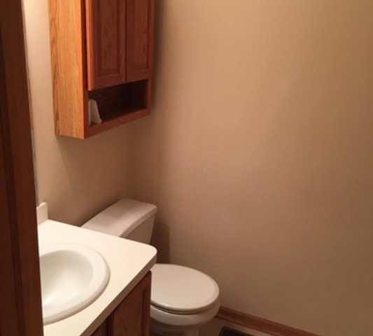 1645 Fox Hound Trl, Beecher, IL 60401 photo 14